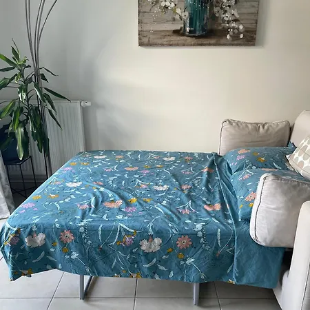 公寓 Modern Flat *