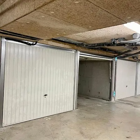 Modern Flat * 니스